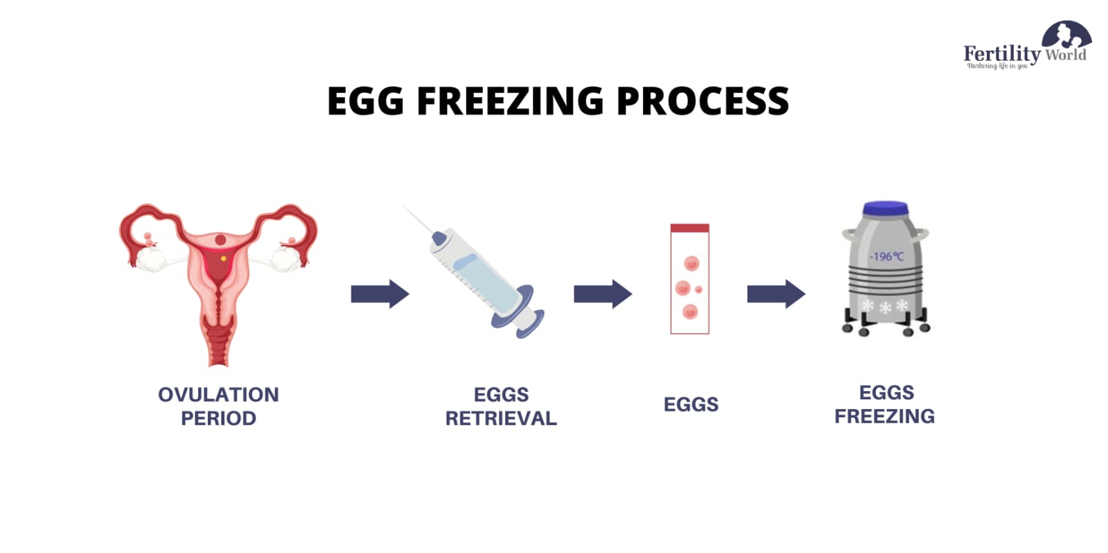 Egg Freezing Process in India