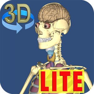 3D Anatomy Lite apk Download