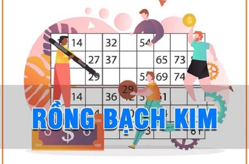 soi cầu rồng bạch kim miền bắc