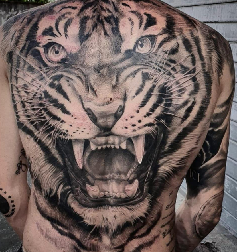 Awesome Tiger Tattoo On Back