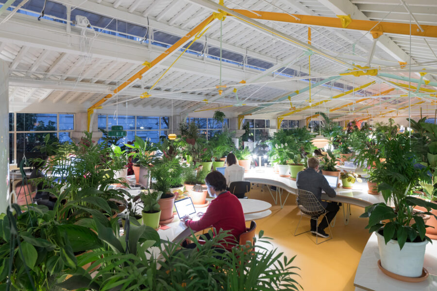 office-green-spaces
