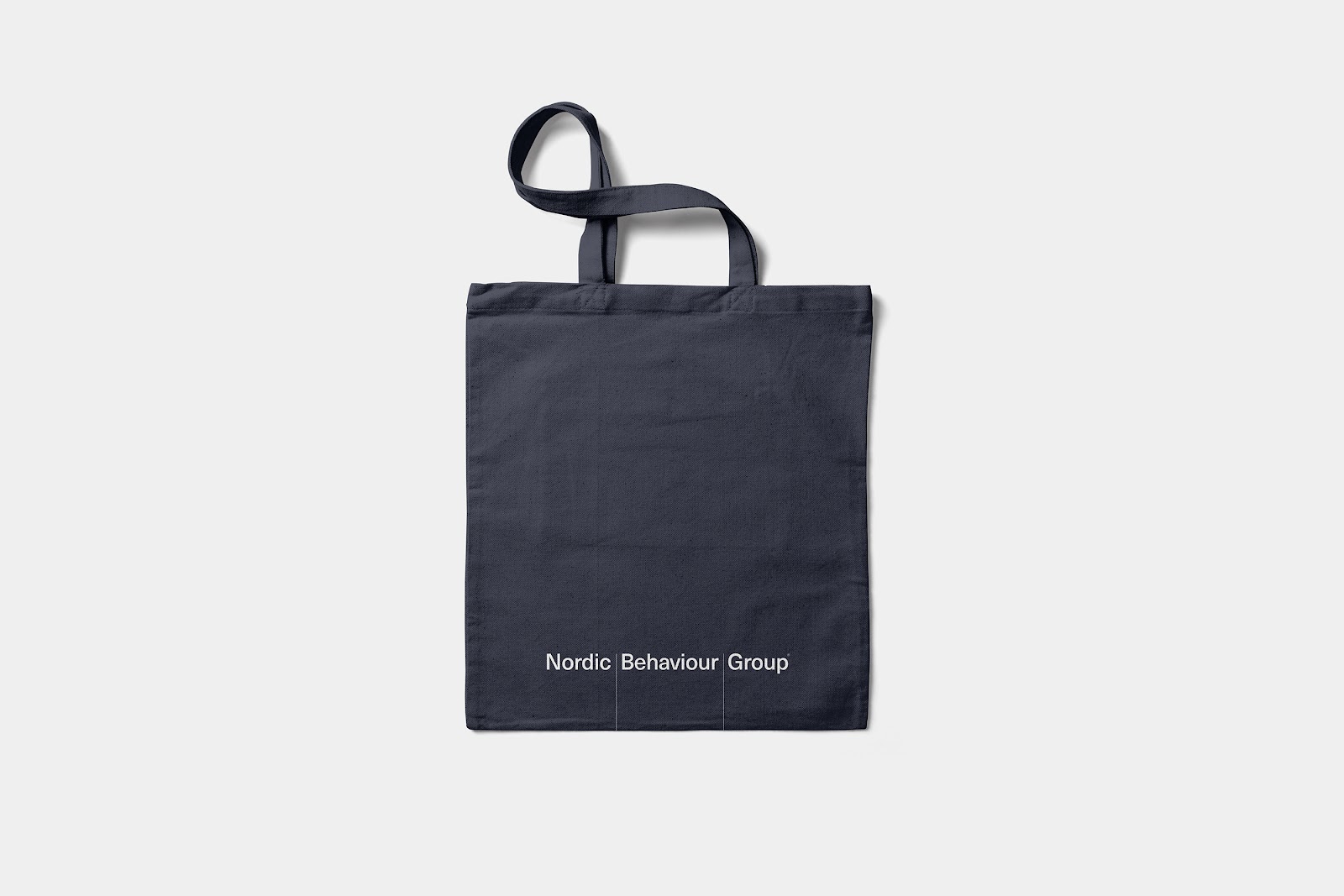 Branding and visual identity artifact from NBG project