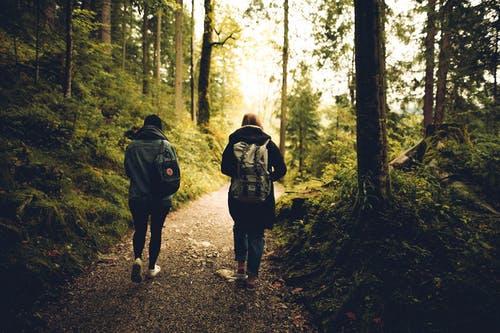 Free Two People Walking in the Forest Stock Photo