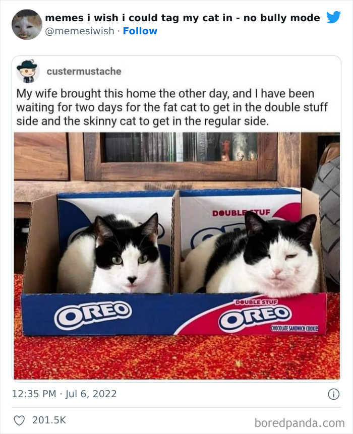 Picture of two black and white cats sitting in a divided box. Left side labeled Oreo and has a skinny cat. Right side labeled double stuf Oreo and has a fatter cat. Caption: My wife brought this home the other day, and I have been waiting two days for the fat cat to get int the double stuff side and the skinny cat to get in the regular.