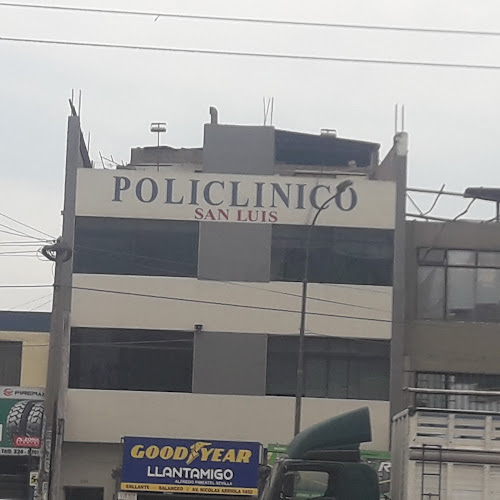 Avenida Nicolas Arriola 1454, San Luis, Cercado de Lima, Perú