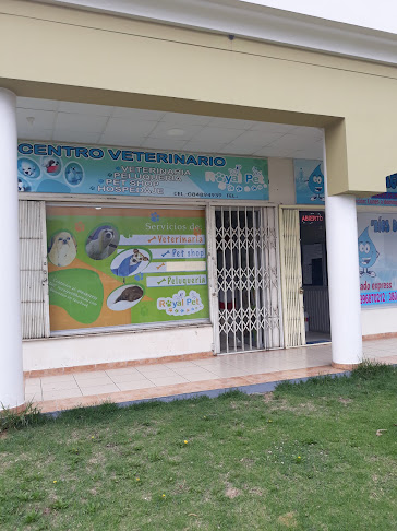 Centro Veterinario