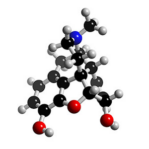 Get Opioid Converter apk Last Update