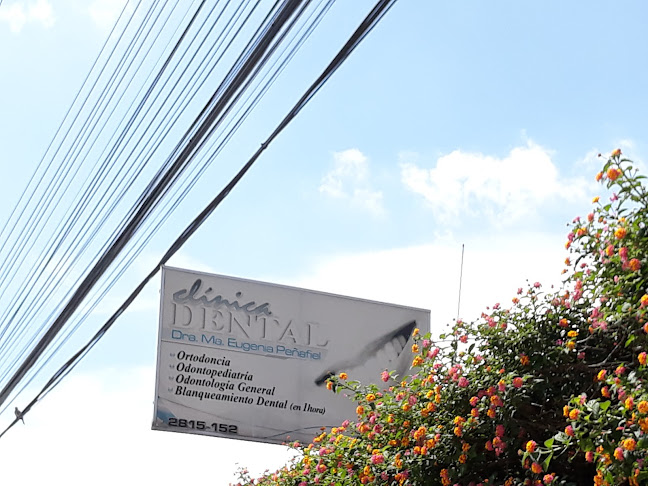 Opiniones de Dra. Ma. Eugena Peñafiel en Cuenca - Dentista