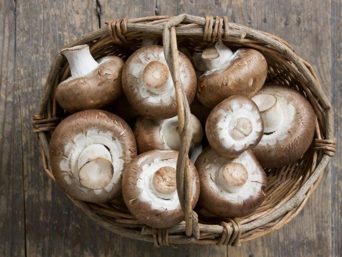 9 Edible Mushroom Varieties