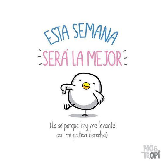 Feliz inicio de semana para todos, para mi amor y amigos frases imágenes