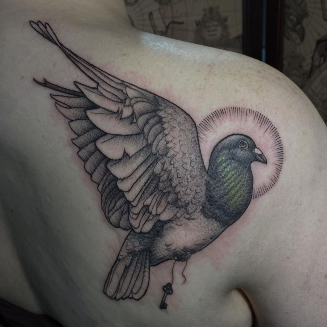 Pigeon Tattoo On Back Shoulder