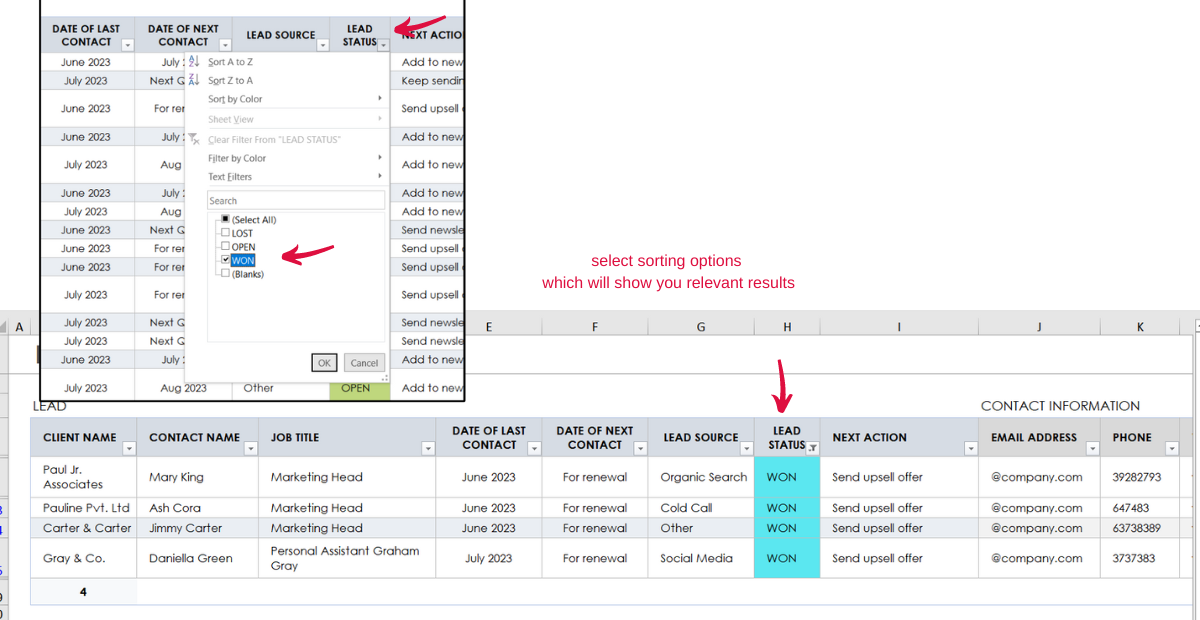 Client Financial management Spreadsheets | Image shows sheet example of sort  and filter