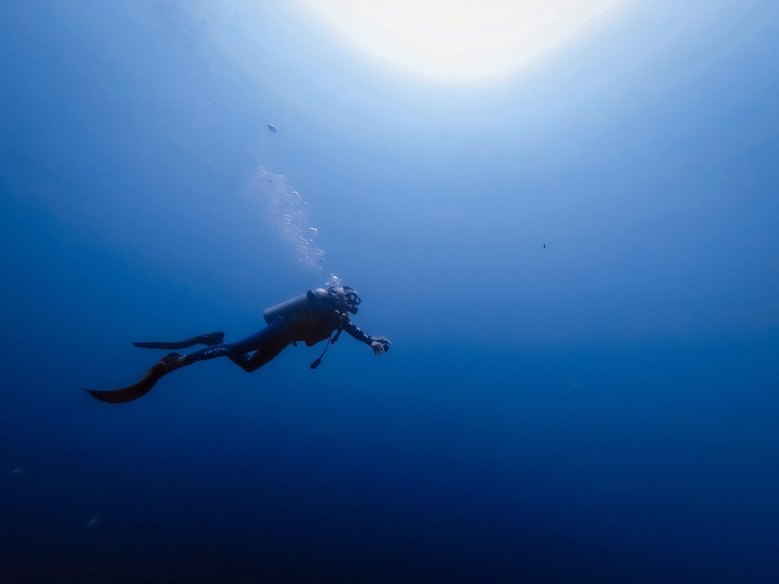 scuba diving tanjung benoa