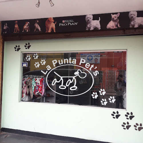 Opiniones de La Punta Pets en La Punta - Veterinario