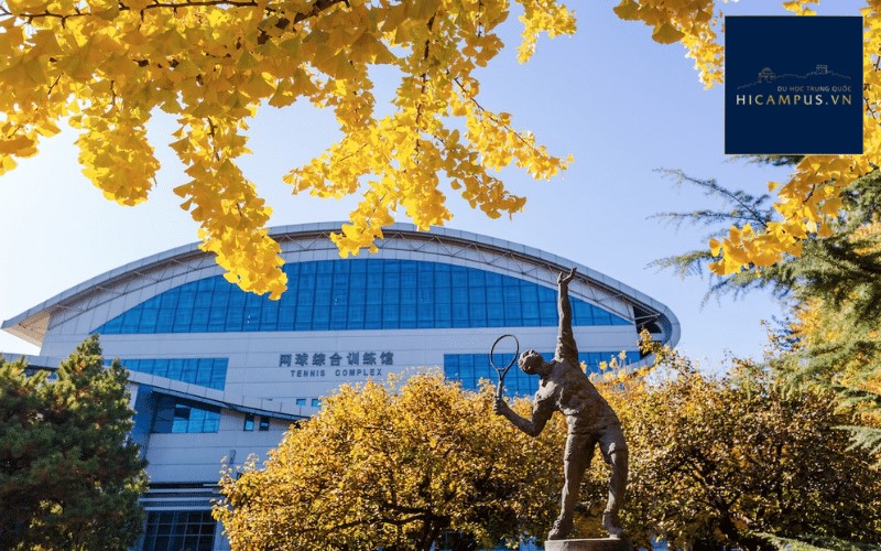 Điểm mạnh đào tạo của Đại học thể thao Bắc Kinh