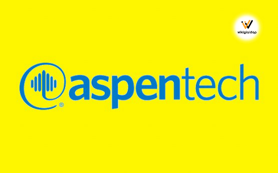 Giới thiệu về aspenONE Suite 11