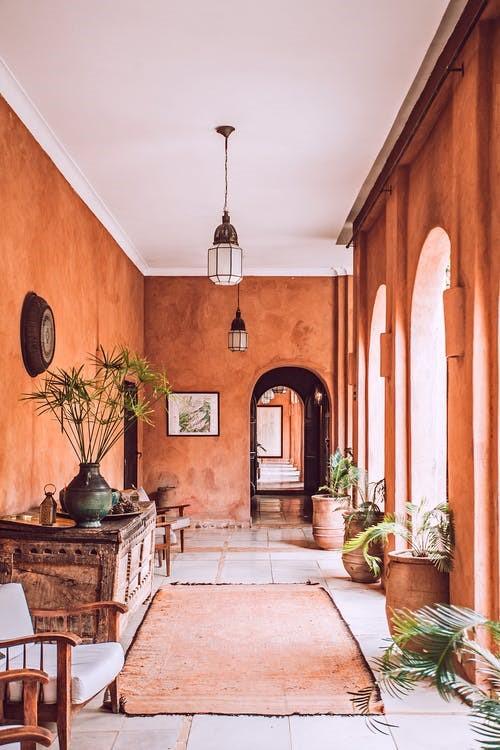 Stylish interior of spacious mansion porch in rustic style with arched doorways and big potted plants on sunny day