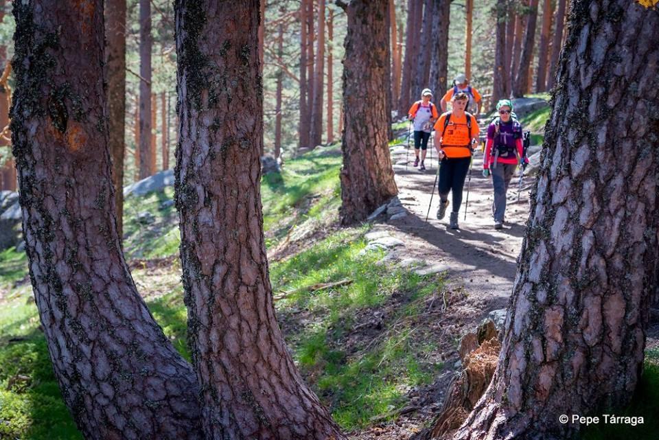 La imagen puede contener: una o varias personas, personas de pie, Ã¡rbol, planta, exterior y naturaleza