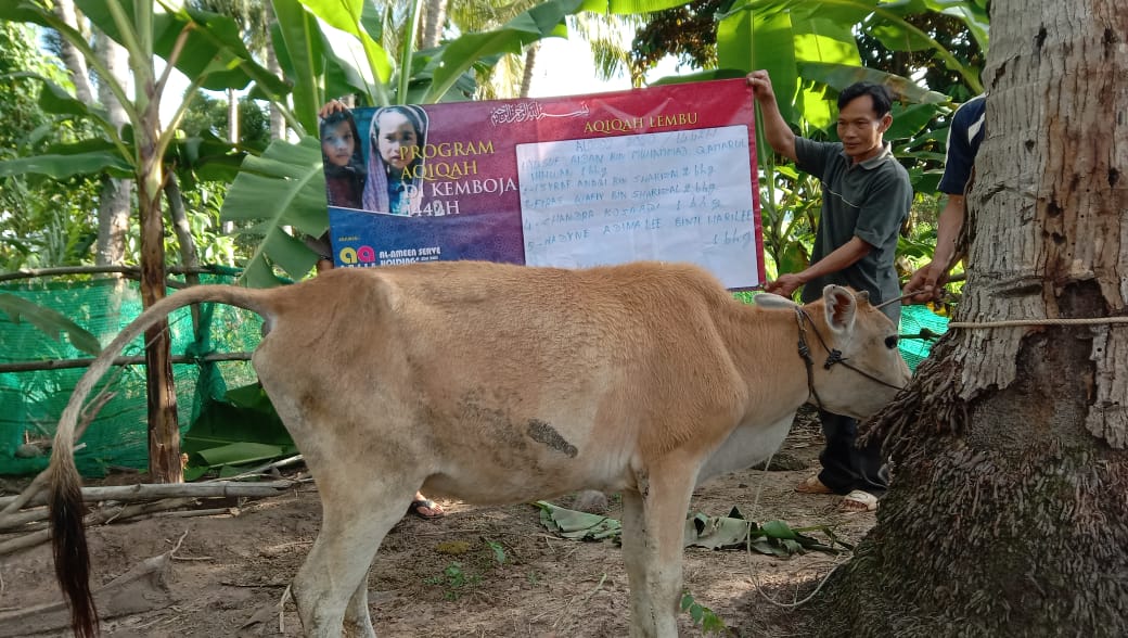 aqiqah kemboja