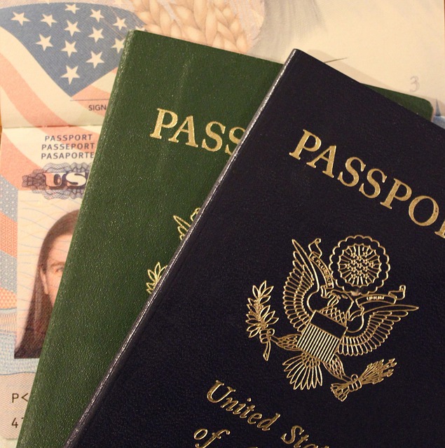 your passport and other travel documents are important things to bring when traveling abroad