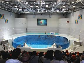 Kagoshima_kagoshima_aquarium_4608_03