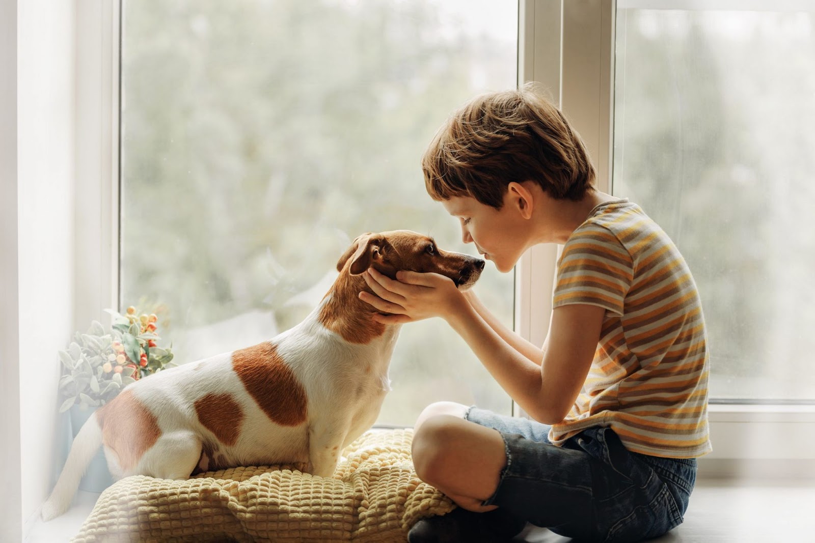 Общение с домашними животными. Для детей. Животные. Человек и домашнее животное. Ребенок и животное. Собака для детей.