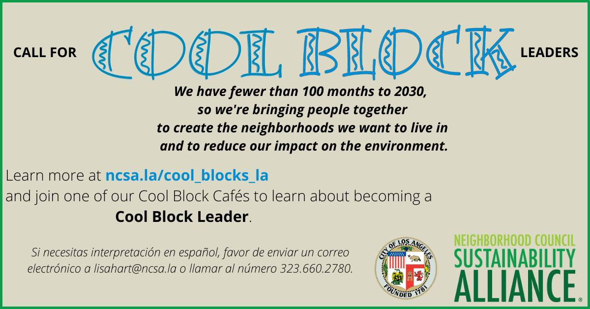 Call for Cool Block Leaders