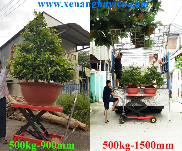 xe nâng cây chậu cảnh giá rẻ