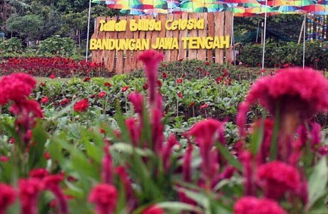 Wisata Bandungan Semarang 