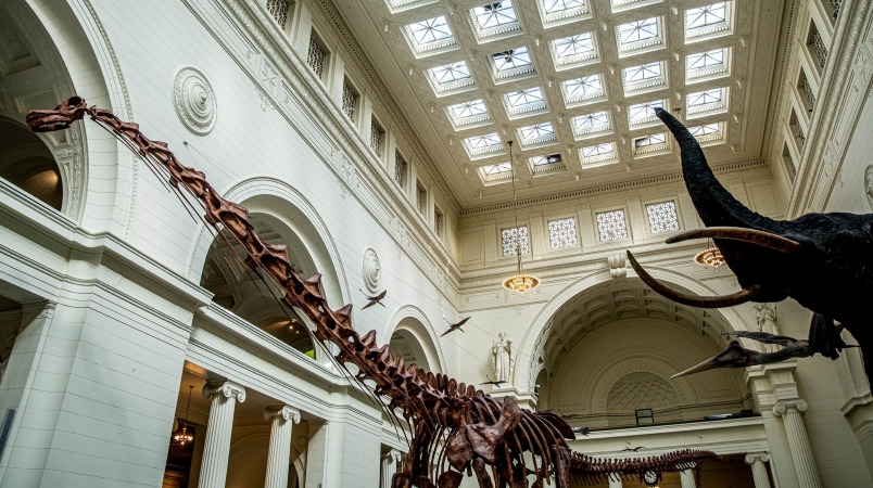 The Field Museum in Chicago