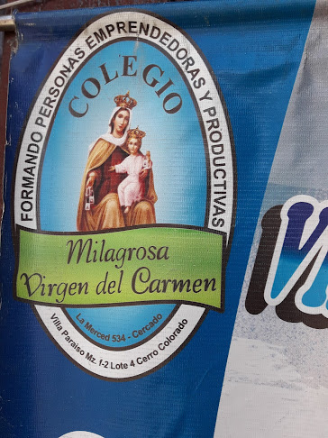 Colegio Virgen Del Carmen Milagrosa - Universidad
