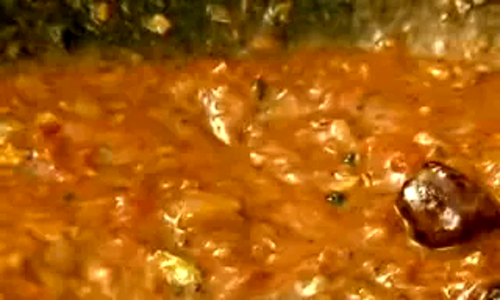 Chettinad Kaadai Pepper Fry - quail fry