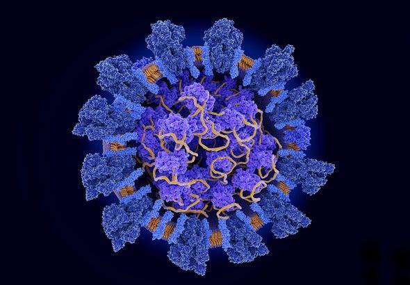 Lab-Made 'Miniproteins' Could Block the Coronavirus from Infecting Cells