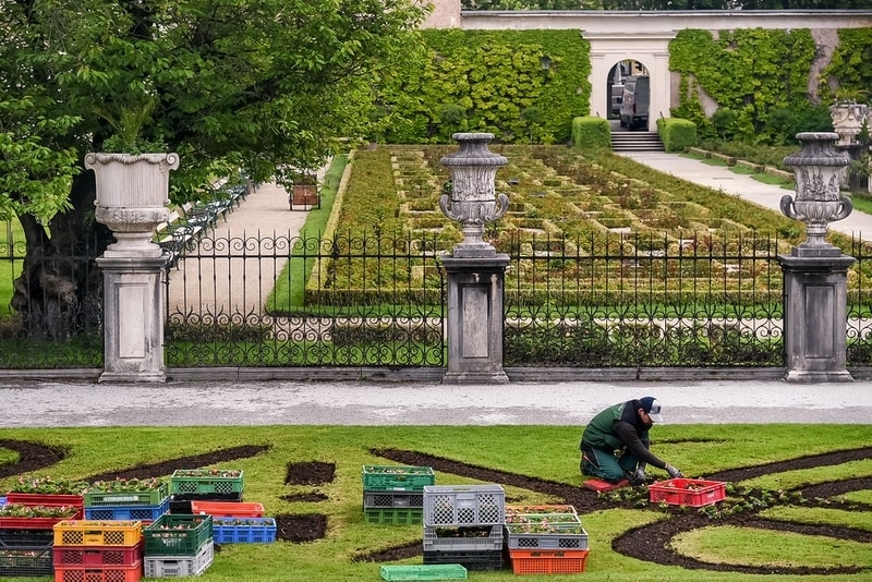 Man planting flowers in Mirabell Gardens