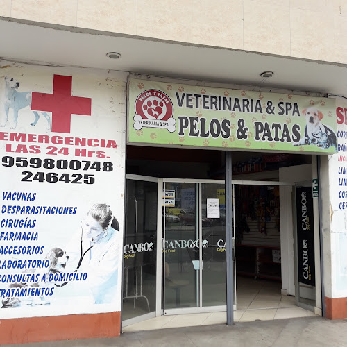 Opiniones de Pelos & Patas en Trujillo - Veterinario
