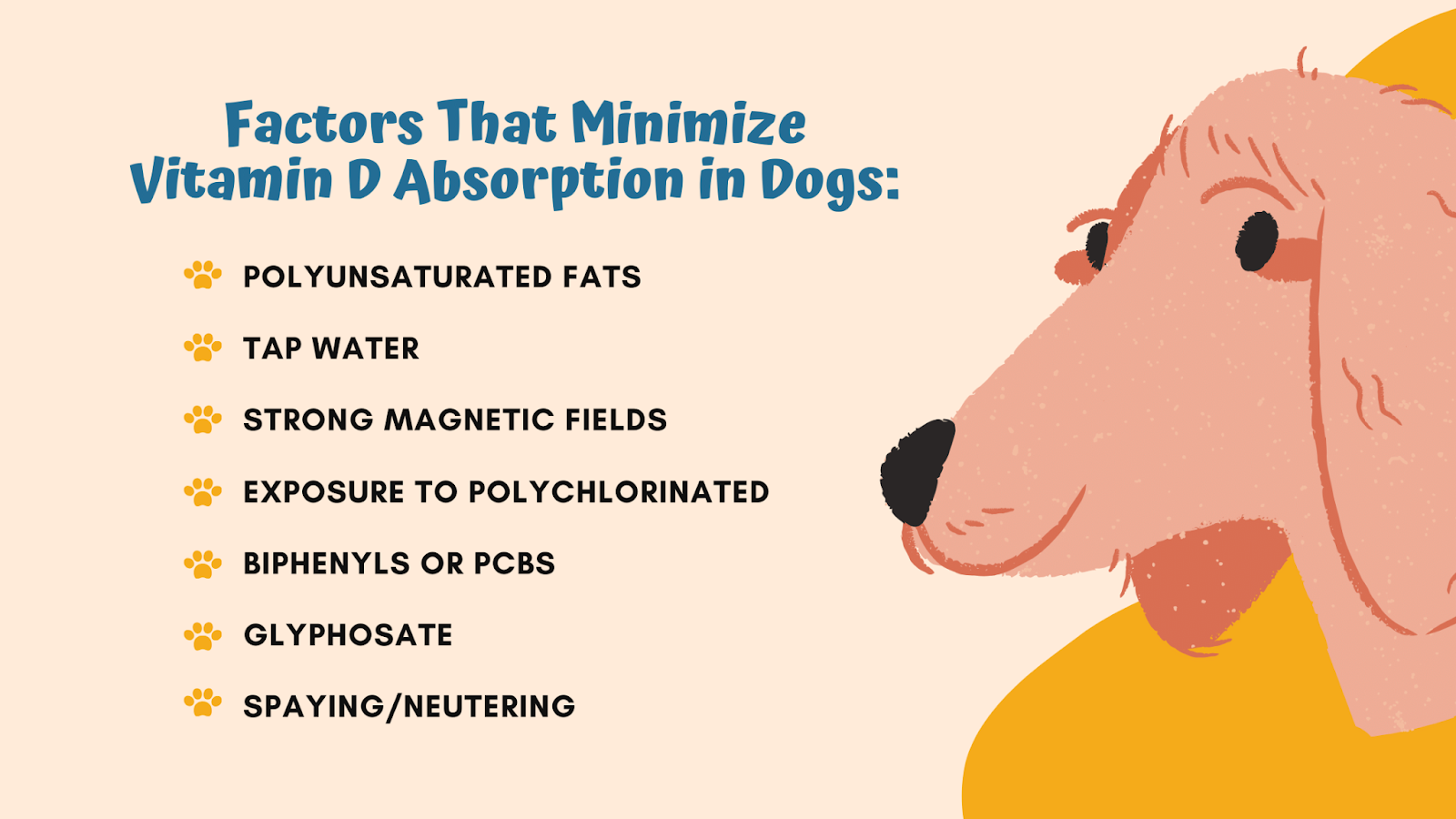 Vitamin D absorption in dogs