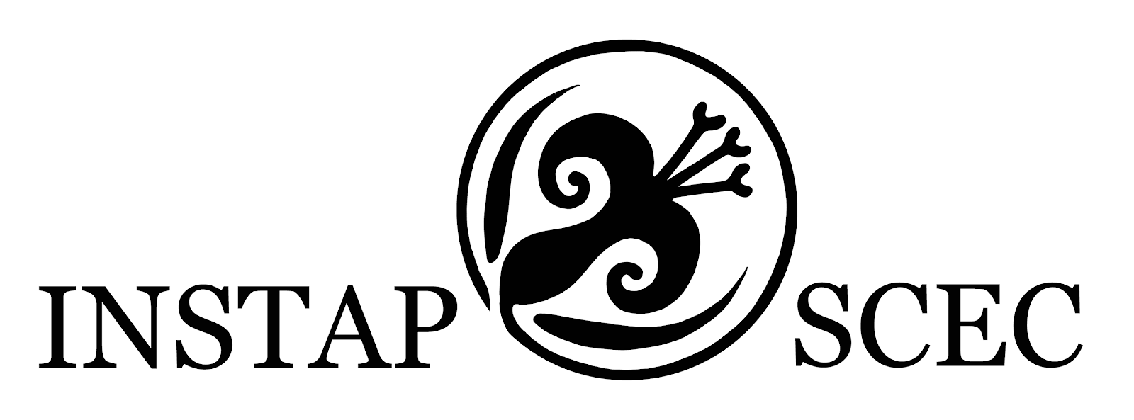 INSTAP logo.jpg