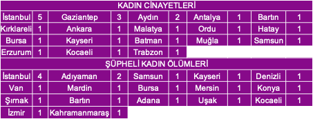 2021 Kasm Ay Kadn Cinayetleri statistii