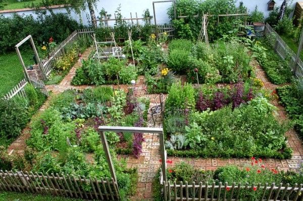 Potager kitchen garden