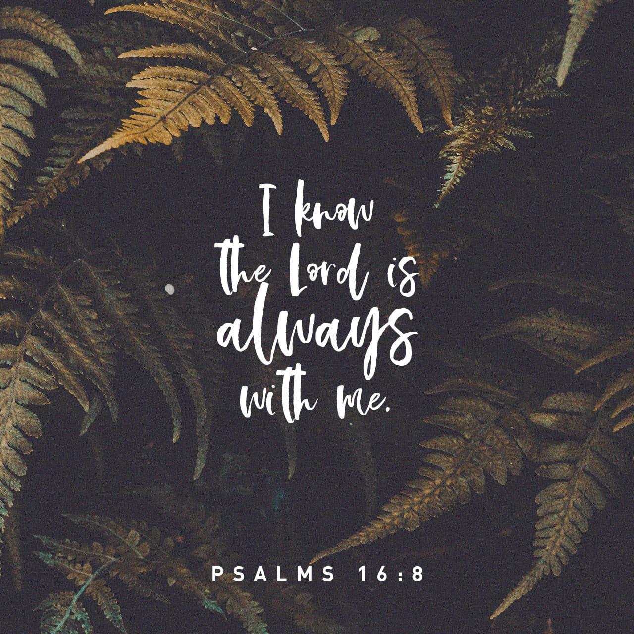 Verse of the Day - Psalms 16:5-11 | The Bible App | Bible.com