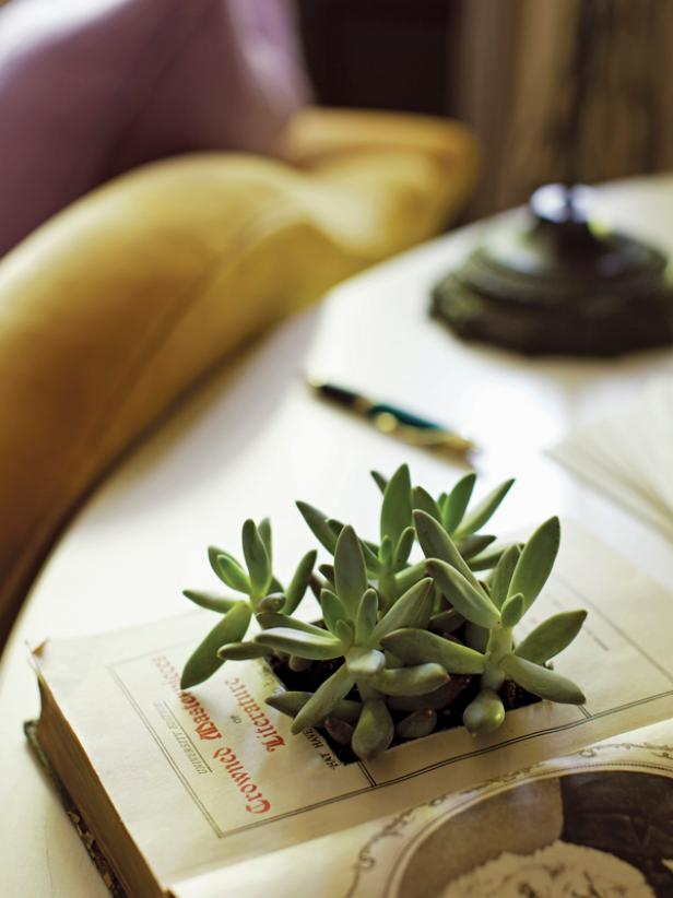 Easy And Clever DIY Projects: Book Planter 