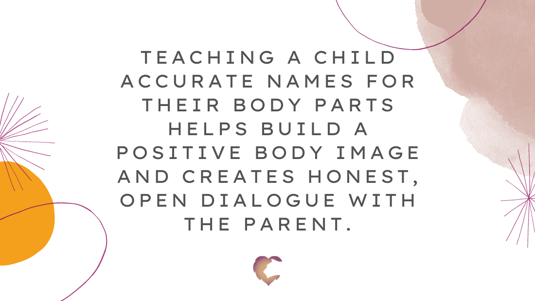 Quote: Teaching a child accurate names for their body parts helps build a positive body image and creates honest, open dialogue with the parent.