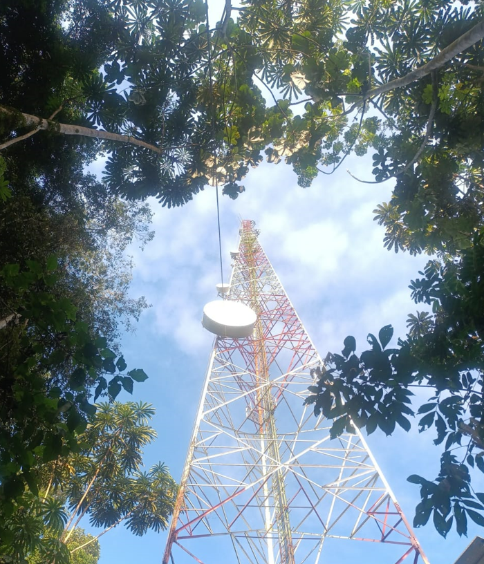 Torre en medio de un bosque

Descripción generada automáticamente con confianza baja