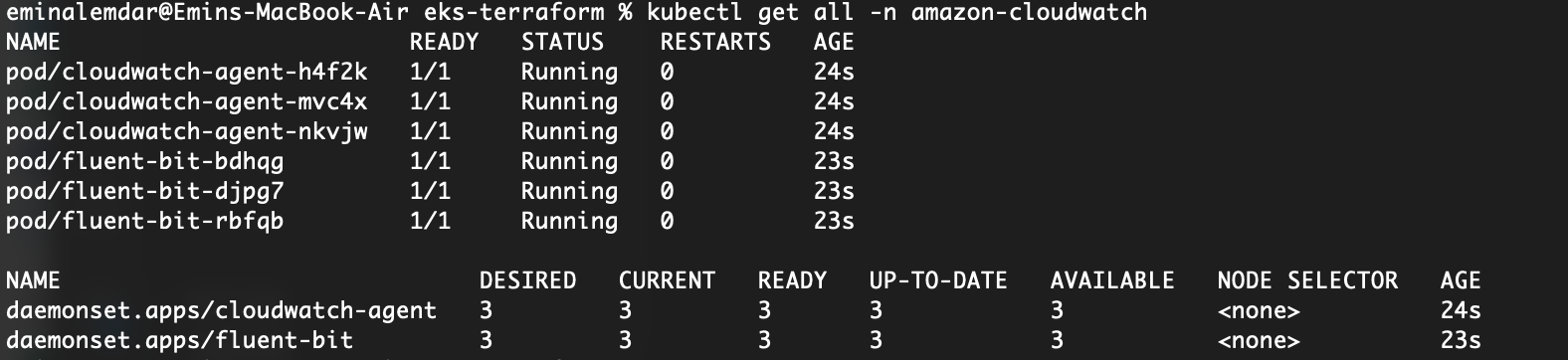 Pods running on amazon-cloudwatch namespace