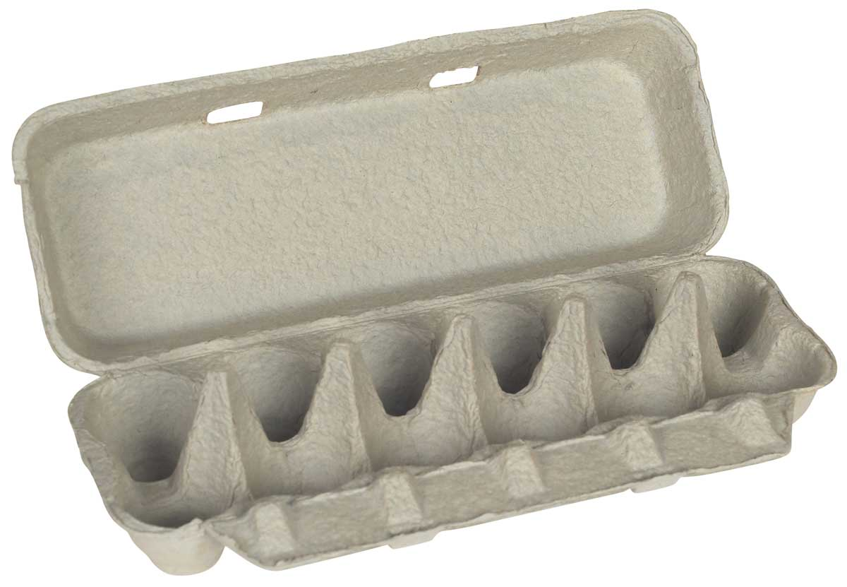 Egg Carton and Plastic Wrap