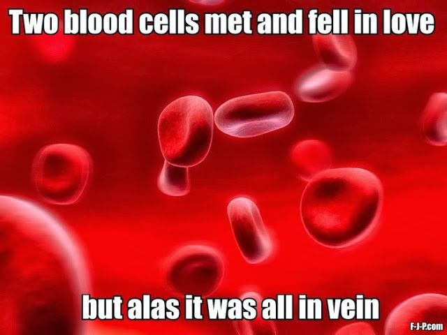 Two blood cells met and fell in love but atlas is was all in vein.