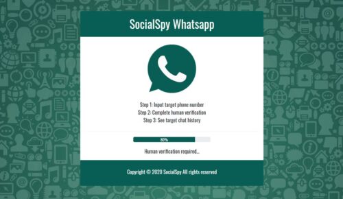 Menggunakan-Aplikasi-Social-Spy-WhatsApp