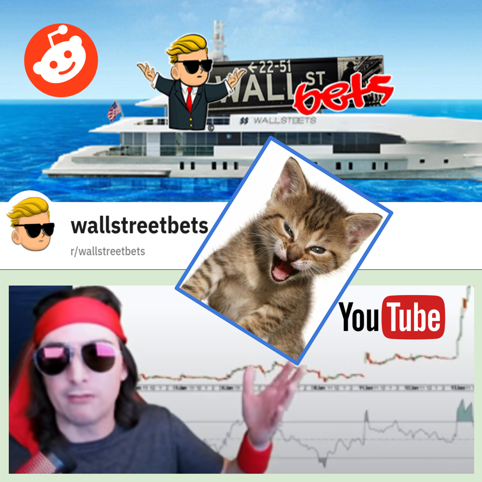 wallstreetbets and roaring kitty