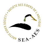 AES-Donate-Circle-Logo