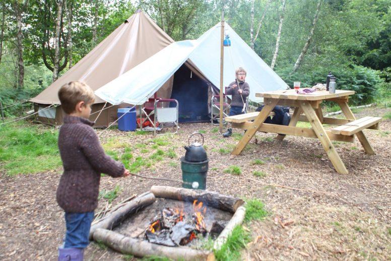 Actionable Eco Friendly Camping Tips Can Make Your Camping More Eco-Worthy in 2023- Eco Camping